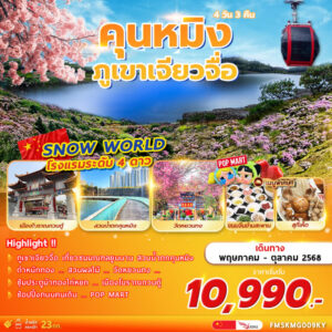 FMSKMG009KY