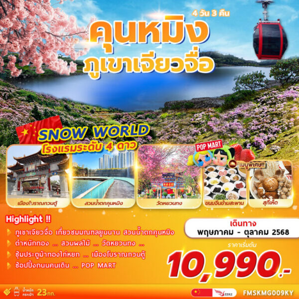 FMSKMG009KY