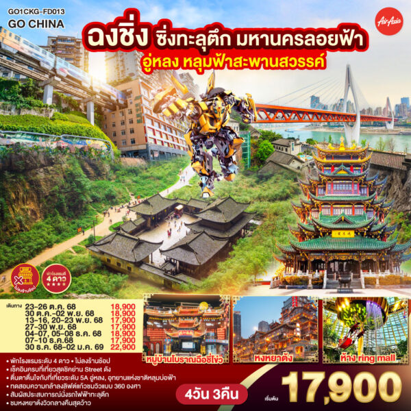 T13106